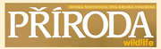 fotografick� �asopis Fotovideo - www.ifotovideo.cz